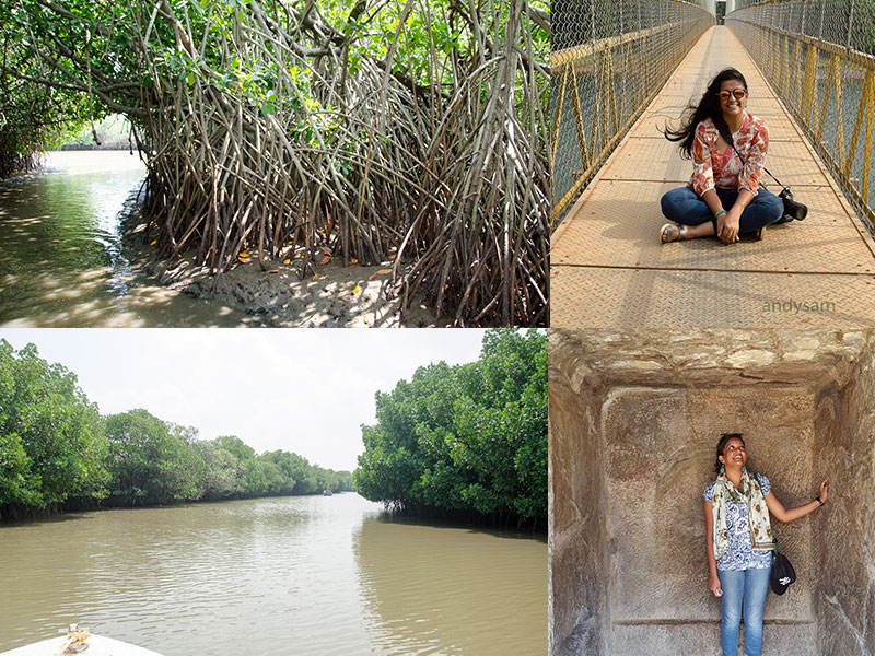 Shalini Das – Exploring the Spirit of India - visit Mangroves