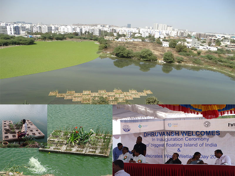Team Madhulika - Dhruvansh NGO floating island
