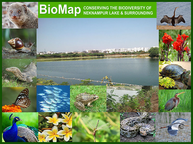 Team Madhulika - Dhruvansh NGO conserving Bio diversity at Neknampur