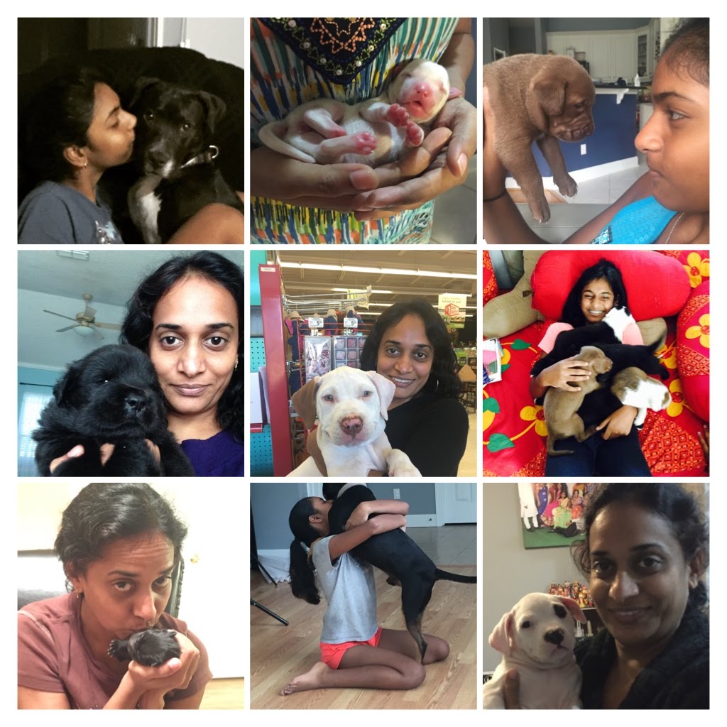 Ujwala Chintala's pictorial Journey