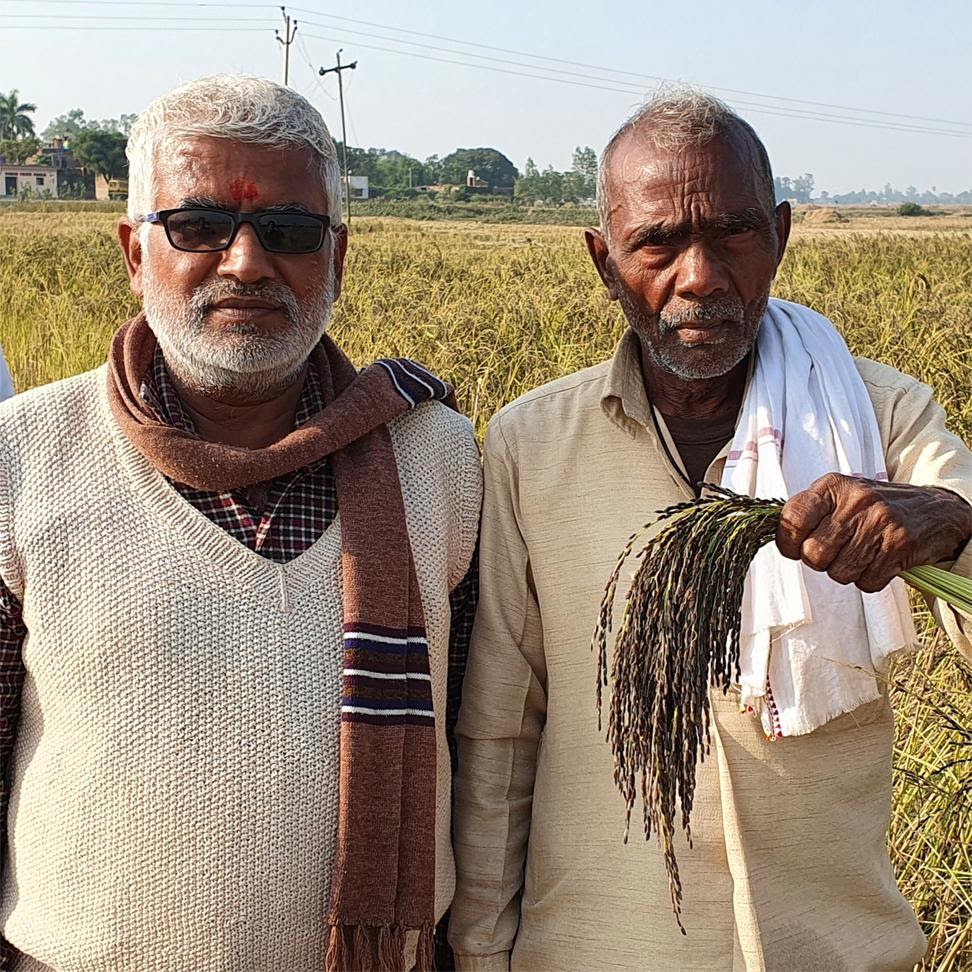 Farmers with Kalanamak Rice at Pali farms  