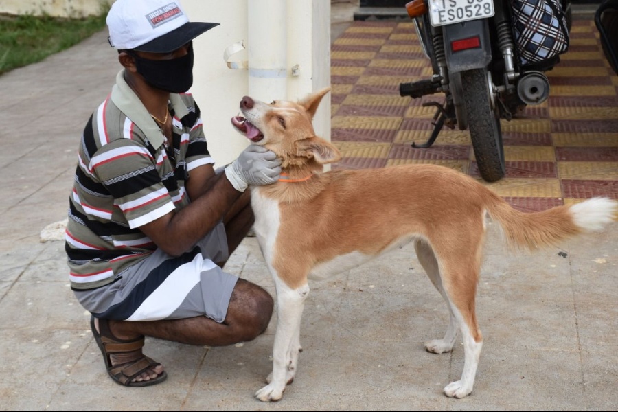 Dheeraj Muramshetti with dog