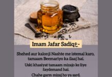 Jamila's Tibb-e-Islam