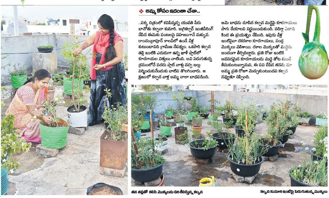 News Coverage - Kalpana Kumari’s Terrace Garden