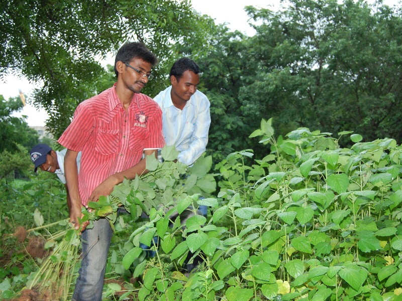 Mohammad Azam At Field Work